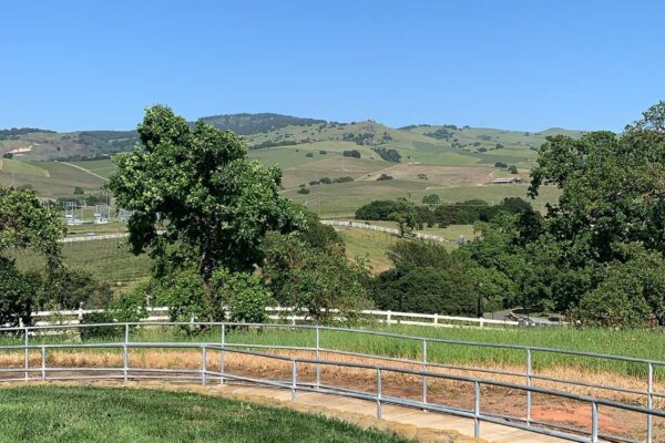 napa valley