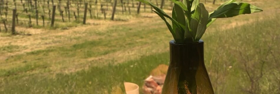 Upscale Views