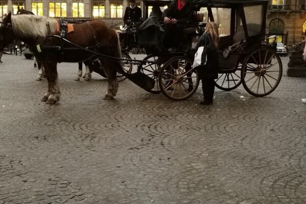 Horse-Drawn Carriage Ride
